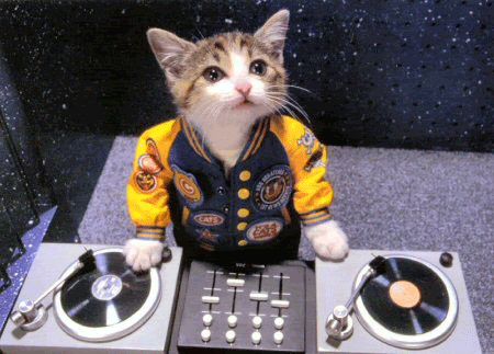 All DJ cats assemble!