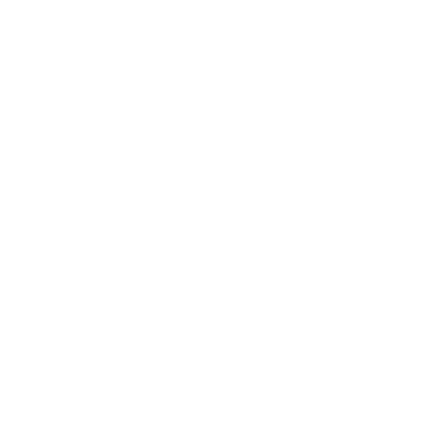 Stupid Crew Logo