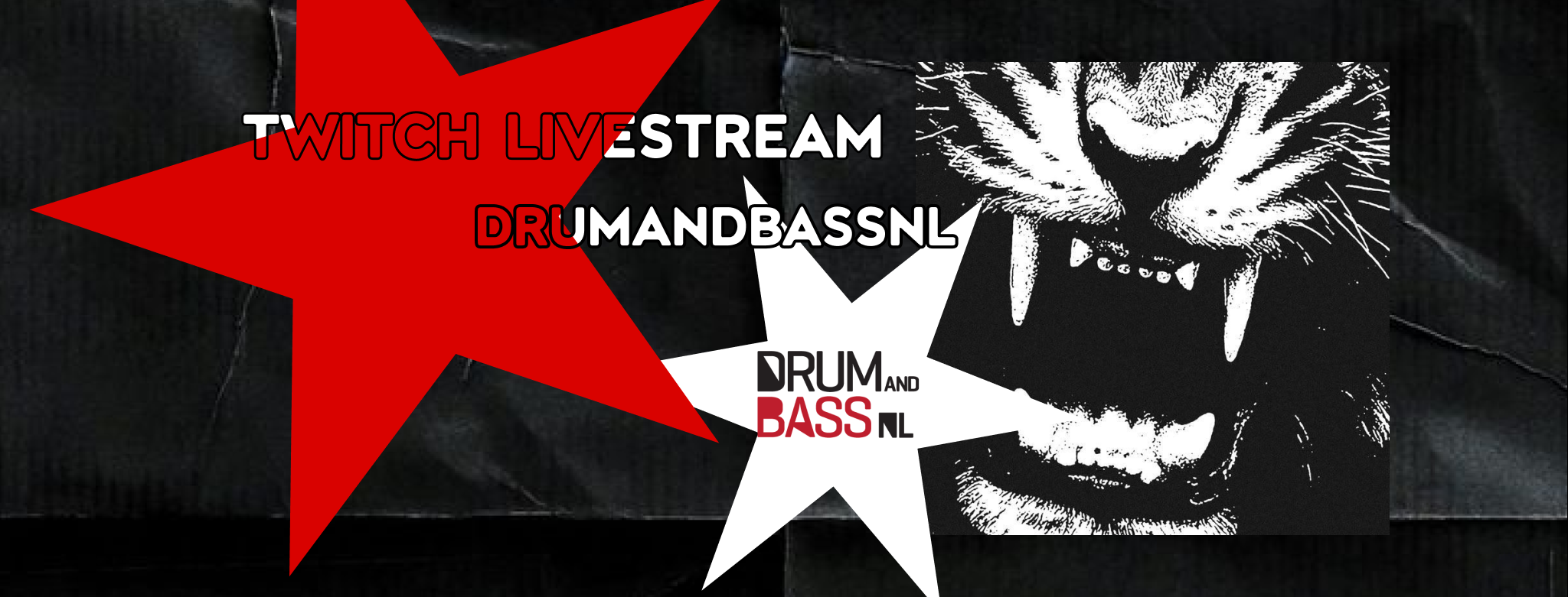 Jungle Kitten x DNBNL